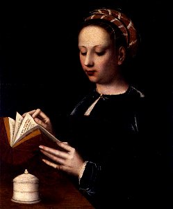 Ambrosius Benson - Mary Magdalene - WGA01889. Free illustration for personal and commercial use.