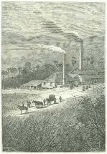 Bentzon - Yette, histoire d'une jeune créole, 1880 (page 24 crop)