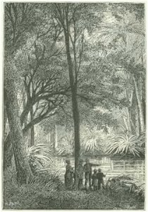 Bentzon - Yette, histoire d'une jeune créole, 1880 (page 88 crop)