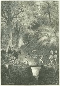 Bentzon - Yette, histoire d'une jeune créole, 1880 (page 60 crop)