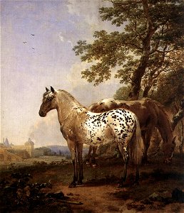 BERCHEM Nicolaes Landscape With Two Horses