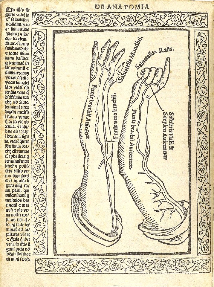 Berengario p66v