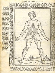 Berengario p09v