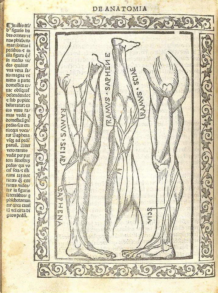 Berengario p68v