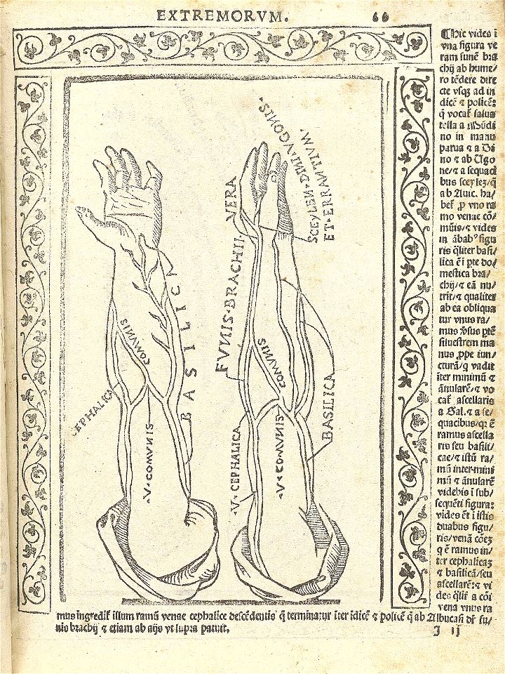 Berengario p66r