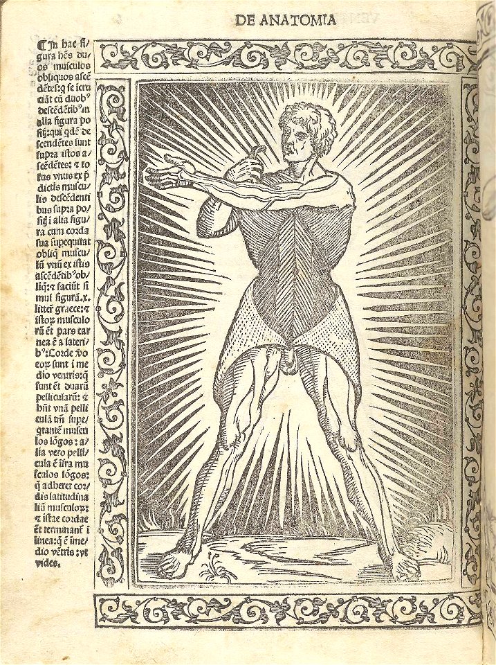 Berengario p06v