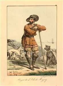 Berger de L'Isle de Majorq (BM 1897,0401.4)