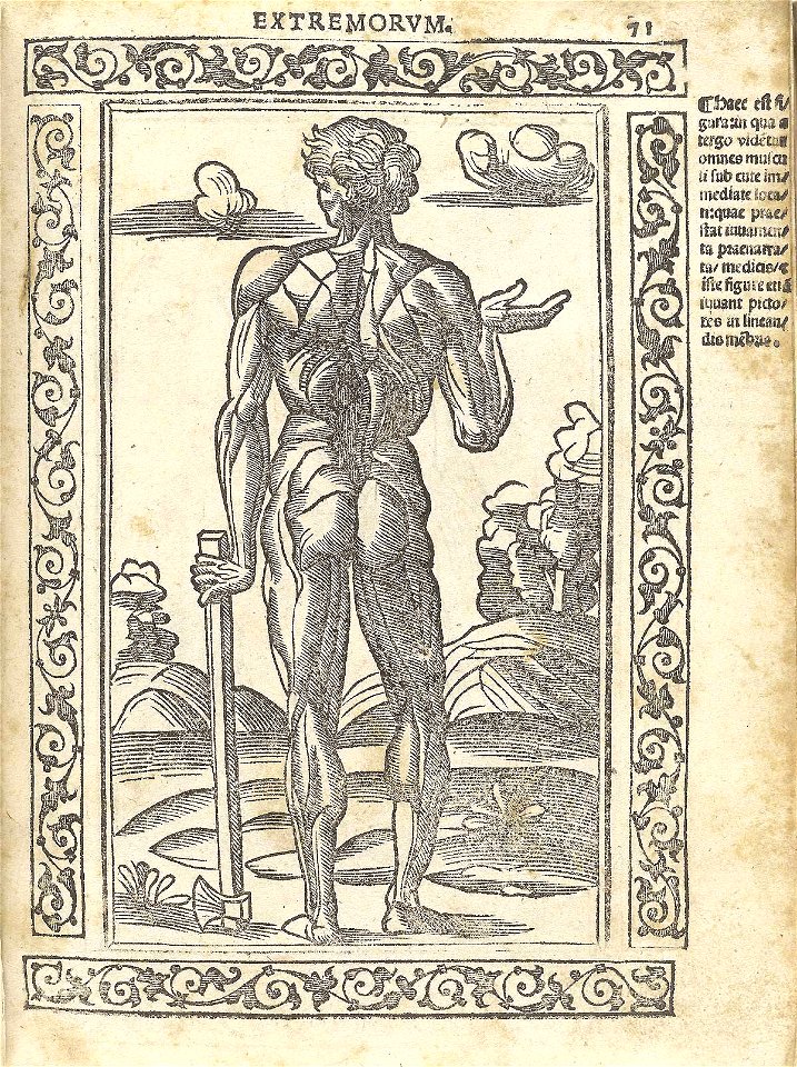 Berengario p71r
