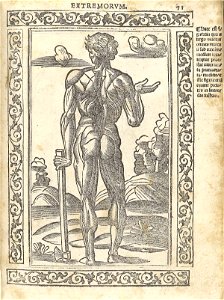 Berengario p71r