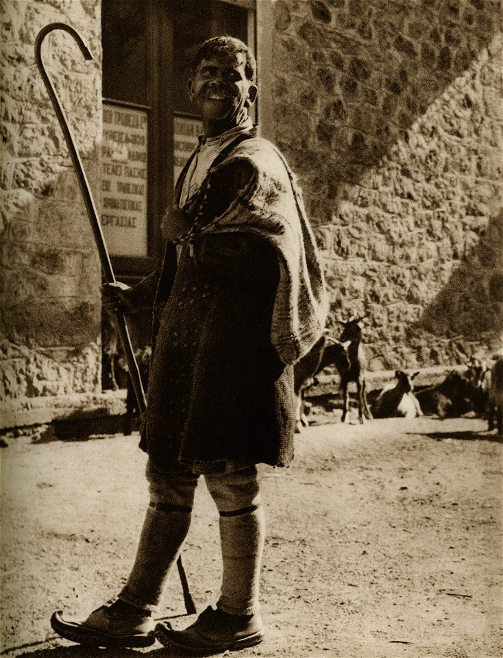 Berger de Sparte - Perilla Francesco - 1929