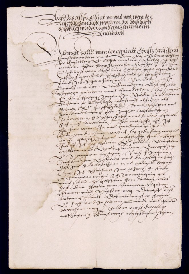 Bericht Reinhards von Neuneck über die Eroberung von Meßkirch 1503