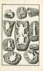 Beringer plate 12