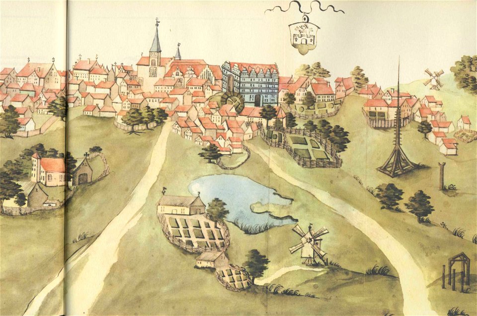 BergenRuegen