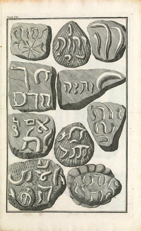 Beringer plate 7