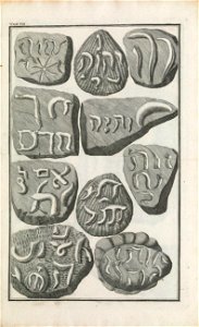 Beringer plate 7