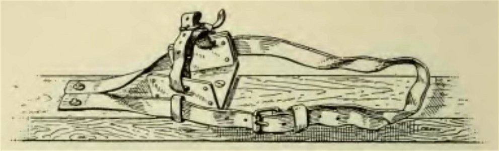 Bernard - Guide du skieur,1910 (page 23 crop 1)