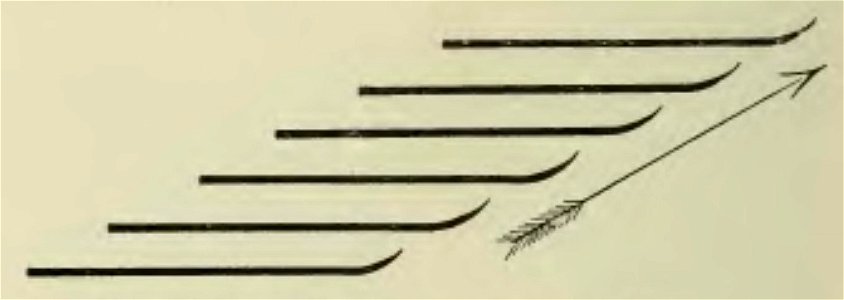 Bernard - Guide du skieur,1910 (page 69 crop)