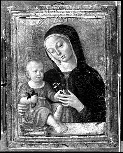 Bernardino Fungai - Virgin and Child - 1962.294 - Fogg Museum. Free illustration for personal and commercial use.