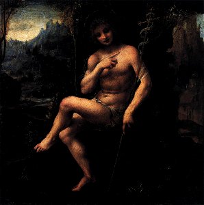 Bernardino Lanino - St John the Baptist in the Wilderness - WGA12463. Free illustration for personal and commercial use.