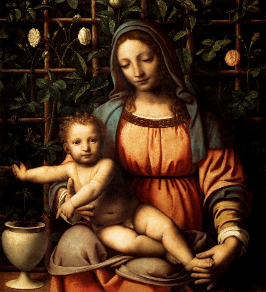 Bernardino Luini, madonna del roseto