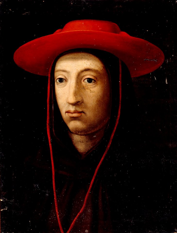 Bernardo degli Uberti - Serie Gioviana