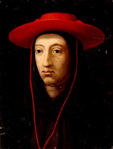 Bernardo degli Uberti - Serie Gioviana