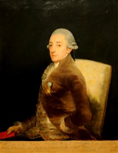 Bernardo de Iriarte y Nieves Ravelo by Goya
