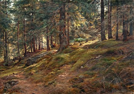 Berndt Lindholm - Light in the Woods