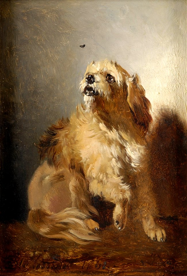 Bernardt Gempt Der Störenfried