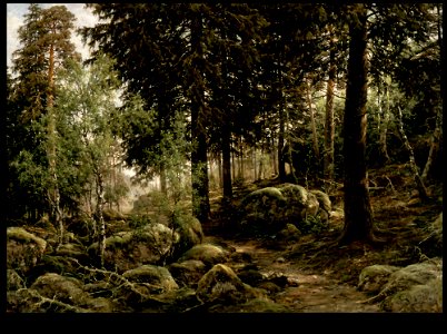Berndt Lindholm - Metsänsisusta - A II 1536 - Finnish National Gallery