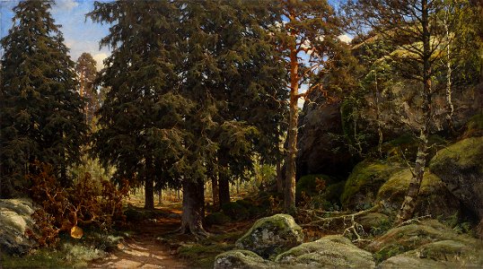 Berndt Lindholm - Forest Interior - A II 1708 - Finnish National Gallery