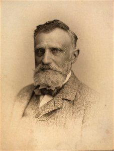 Bernhard Hertz (1834-1908)