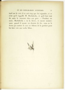 Bertall-Hurluberlu-f33