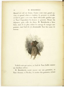 Bertall-Hurluberlu-f20
