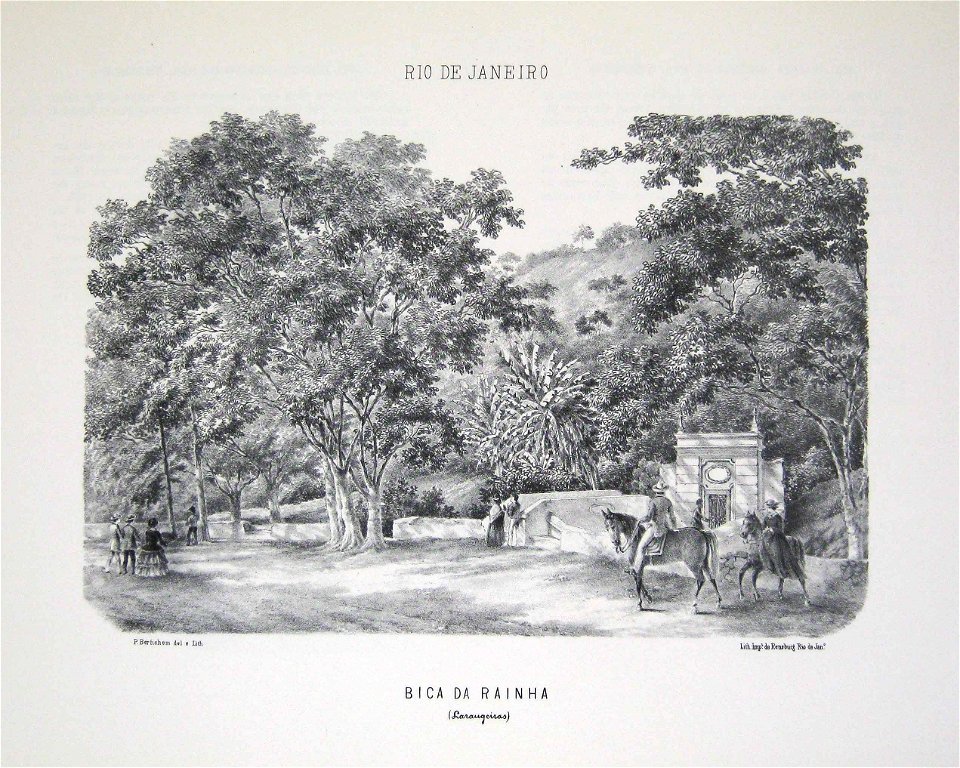 Bertichem 1856 bica rainha laranjeiras