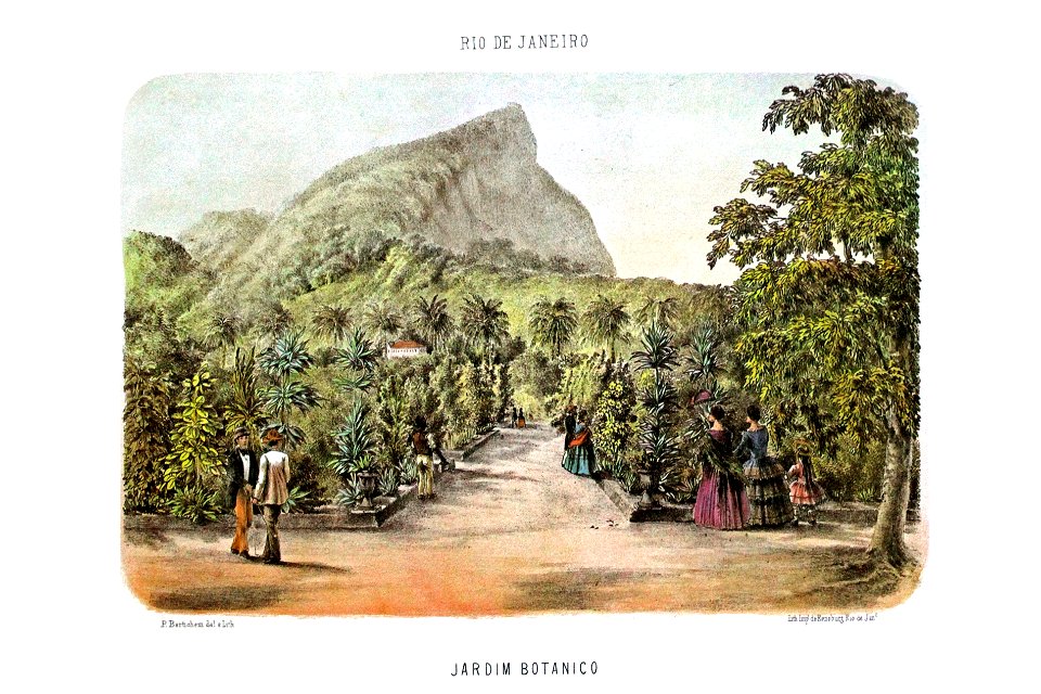 Bertichem 1856 jardim botanico rio janeiro