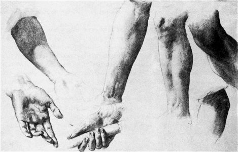 Brocky, Karoly - Arm, hand and leg studies (1848-50)