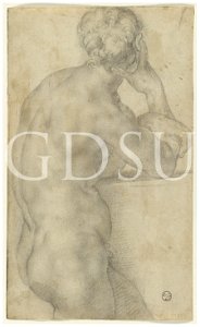 Bronzino - inv 6589 F