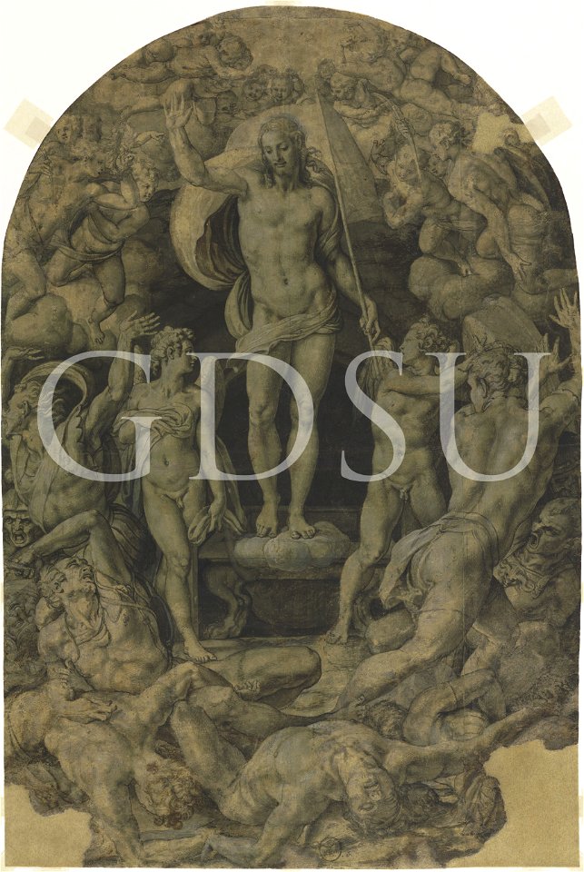Bronzino - inv 13843 F