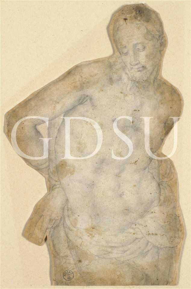 Bronzino - inv 6532 F