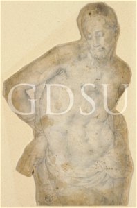 Bronzino - inv 6532 F