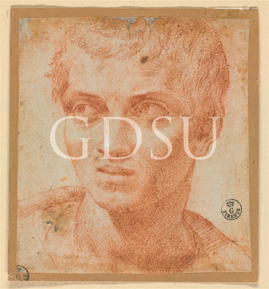 Bronzino - inv 122 F
