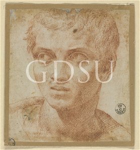 Bronzino - inv 122 F