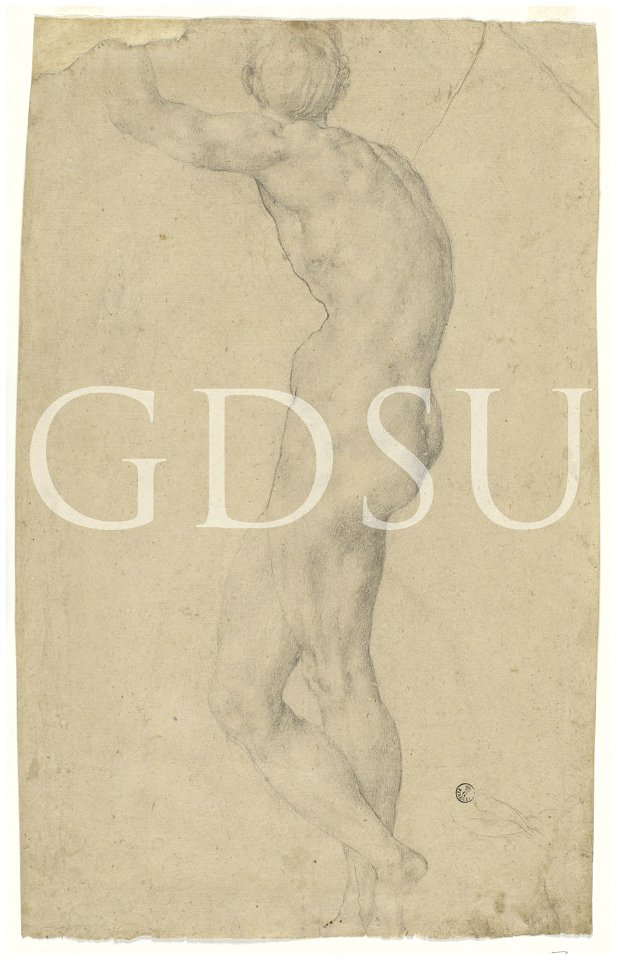 Bronzino - inv 6607 F