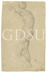 Bronzino - inv 6607 F
