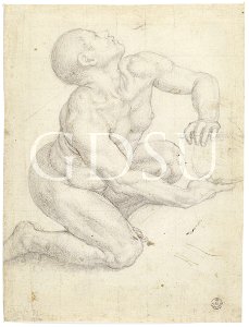 Bronzino - inv 10220 F