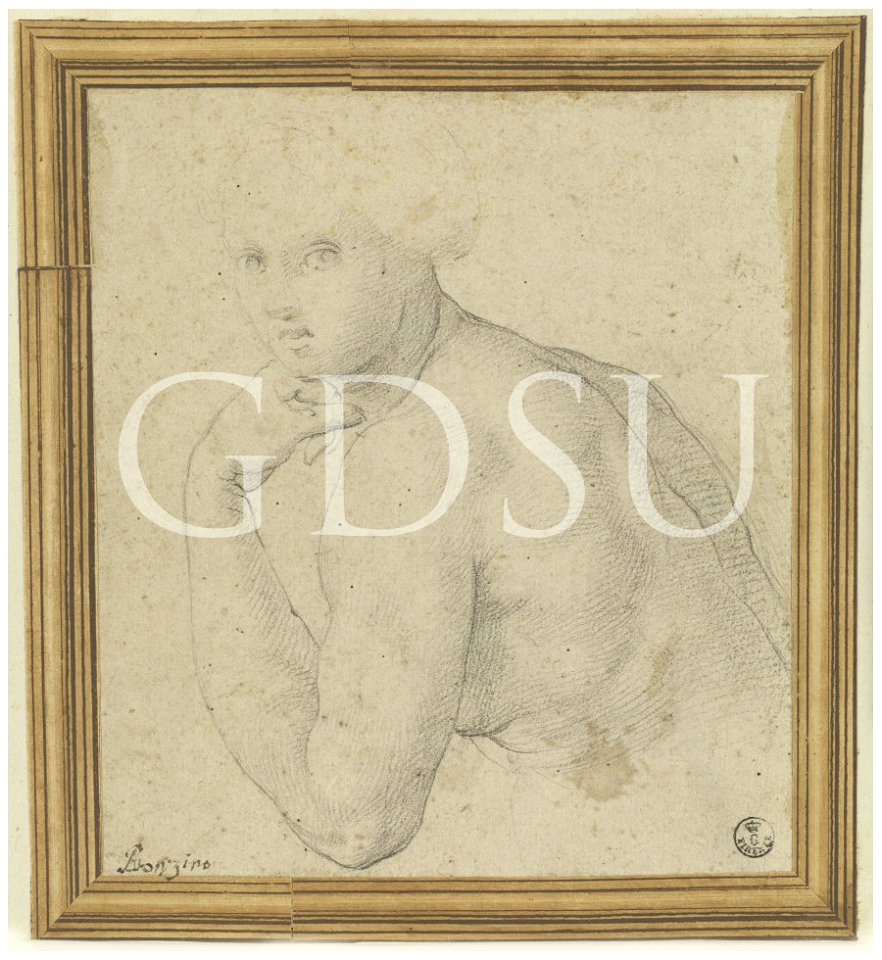 Bronzino - copia da - inv 15390 F