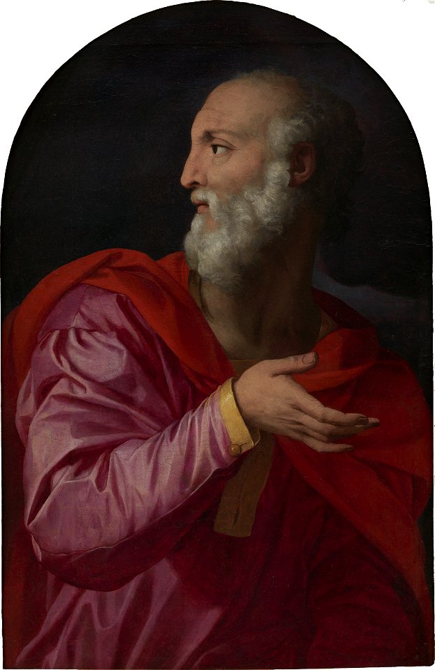 Bronzino - Saint-Côme