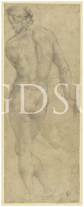 Bronzino - inv 6562 F