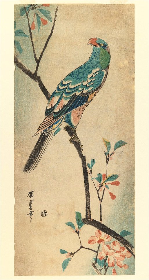 Brooklyn Museum - Green Parrot on a branch with red flowers - Utagawa Hiroshige (Ando)